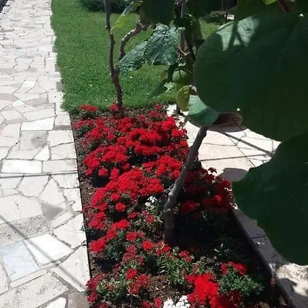 In Vrvari With Air Conditioning, Wifi 664-6